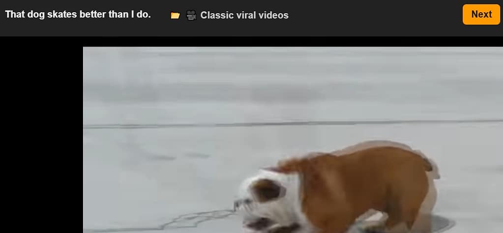 videos virales clásicos de YouTube